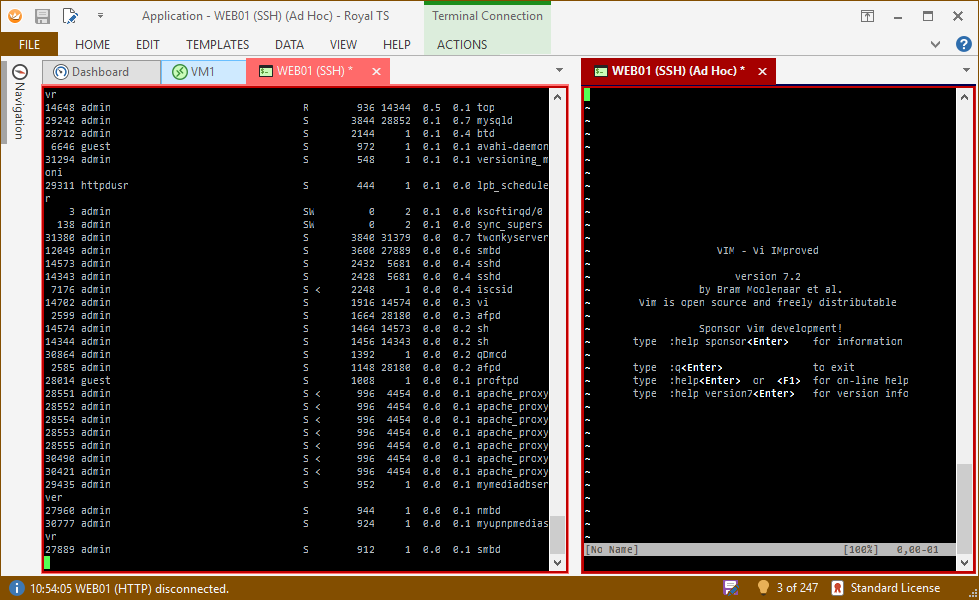 RoyalTS - two SSH terminal windows